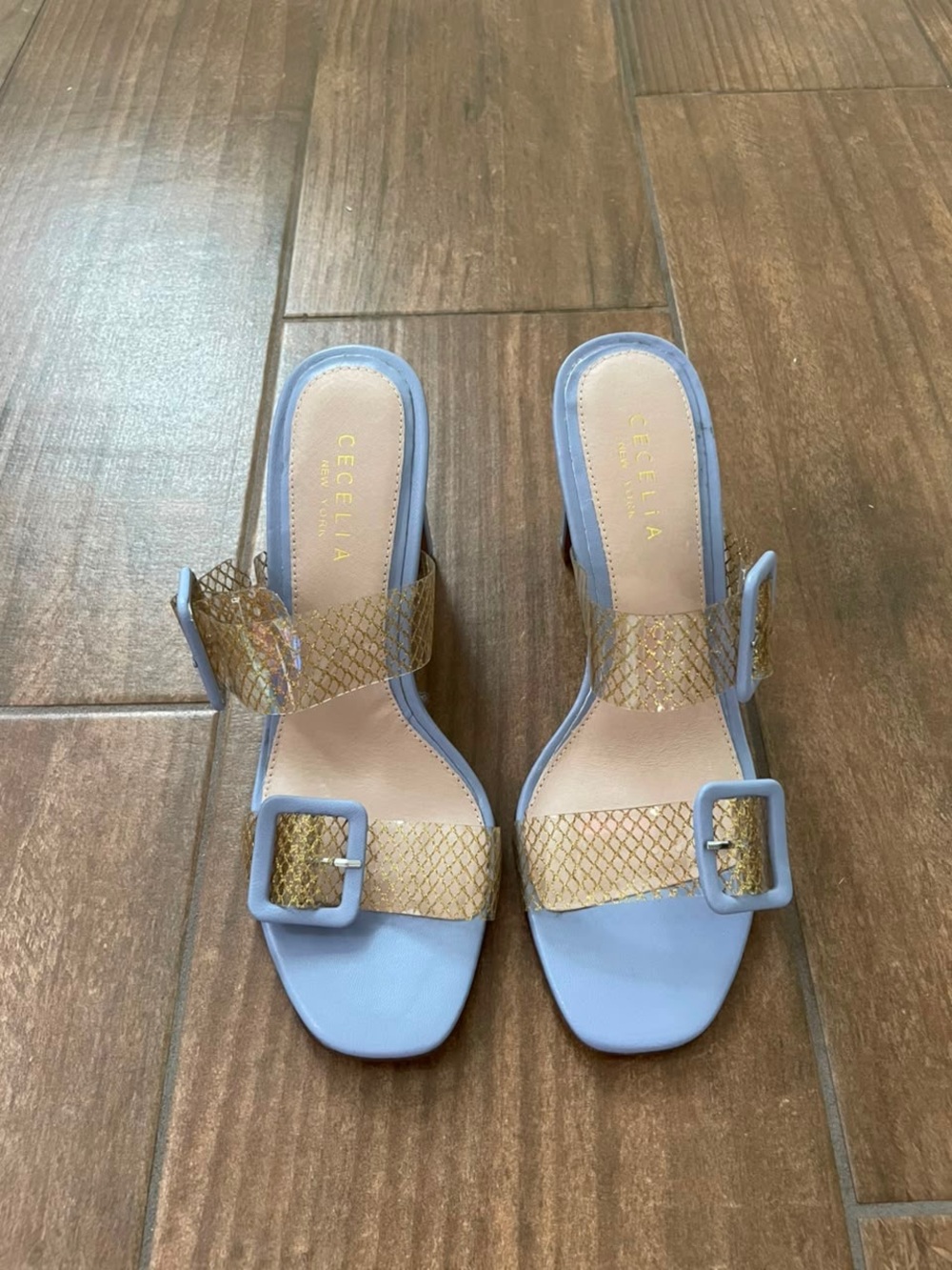 CECELIA NEW YORK Vannah Periwinkle Net Glass Mules